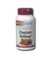 PROSTATE DEFENSE - 90 CAP.