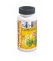 Garcinia cambogia  500 mg Premium 60 capsulas