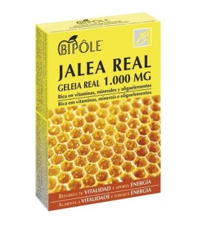 Bipole Jalea Real 1000 mg 20 ampollas