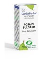 Aceite Esencial (absoluto) de Rosa de bulgaria - 2ml