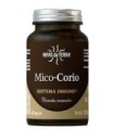 MICO-CORIO+VIT C 70 capsulas - Hifas Da Terra