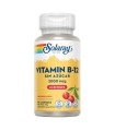 Vitamin B-12  2000 Mcg - Sin Azúcar - 90 Lozenges. Sin Gluten. Apto Para Veganos.