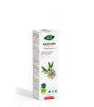 PhytoBiopôle PASIFLORA BIO (Passiflora incarnata) Phyto-Biopôle