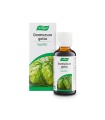 Dormeasan - 50 ml