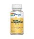 L-ACETYL L-CARNITINE 500 MG - 30 VEGCAPS