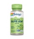 Olive leaf 410 mg-100 Vegcaps. Apto para veganos.