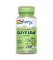 Olive leaf 410 mg-100 Vegcaps. Apto para veganos.