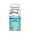 PHOSFATIDILSERINE PLUS - 60 CAP.