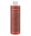 GEL CORPORAL BAÑO Y DUCHA de Rosa mosqueta -  500 ml
