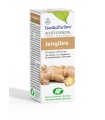 Aceite esencial de Jengibre - 10 ml