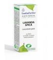 Aceite esencial de Lavanda Espica - 10ml.