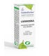 ACEITE ESENCIAL AEBBD - Lavandina - 10ml