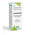 ACEITE ESENCIAL AEBBD - Lavandina - 10ml