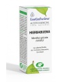 Aceite Esencial de Hierba buena - 10ML