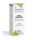 Aceite  Esencial de Nuez moscada - 10ml