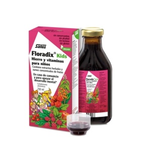 Pack ahorro 'Kids defense' - 2 Floradix Kids + Echinaforte Kids