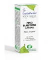 ACEITE ESENCIAL AEBBD - Pino marítimo (Landas) - 10ml
