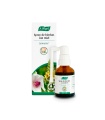 Spray de hierbas con miel - 30ml