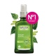 Aceite de Abedul para la Celulitis - 100ml