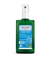 Desodorante Spray de Salvia - 100ml