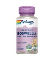 Boswellia-60 VegCaps. Apto para veganos