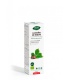 PhytoBiopôle CASTAÑO DE INDIAS BIO (Aesculus hippocastanum) - 50ml