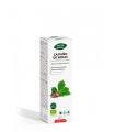 PhytoBiopôle CASTAÑO DE INDIAS BIO (Aesculus hippocastanum) - 50ml