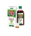 Equinácea - Jugo ecológico de planta fresca - 200ml