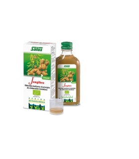 Jengibre - Jugo ecológico de planta fresca - 200ml