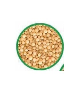 Amaranto BIO