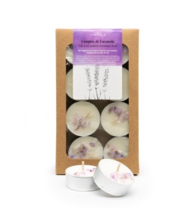 Velas de te aromatizadas - Campos de Lavanda - 8uds