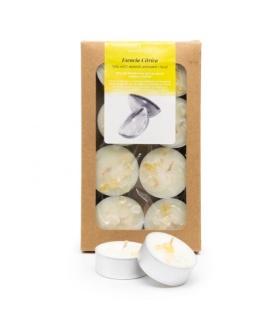CANVELA - Velas de te aromatizadas - Esencia cítrica - 8uds