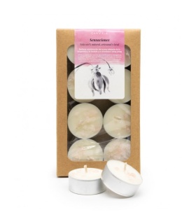 CANVELA - Velas de te aromatizadas - Sensaciones - 8uds