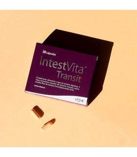 IntestVita Transit