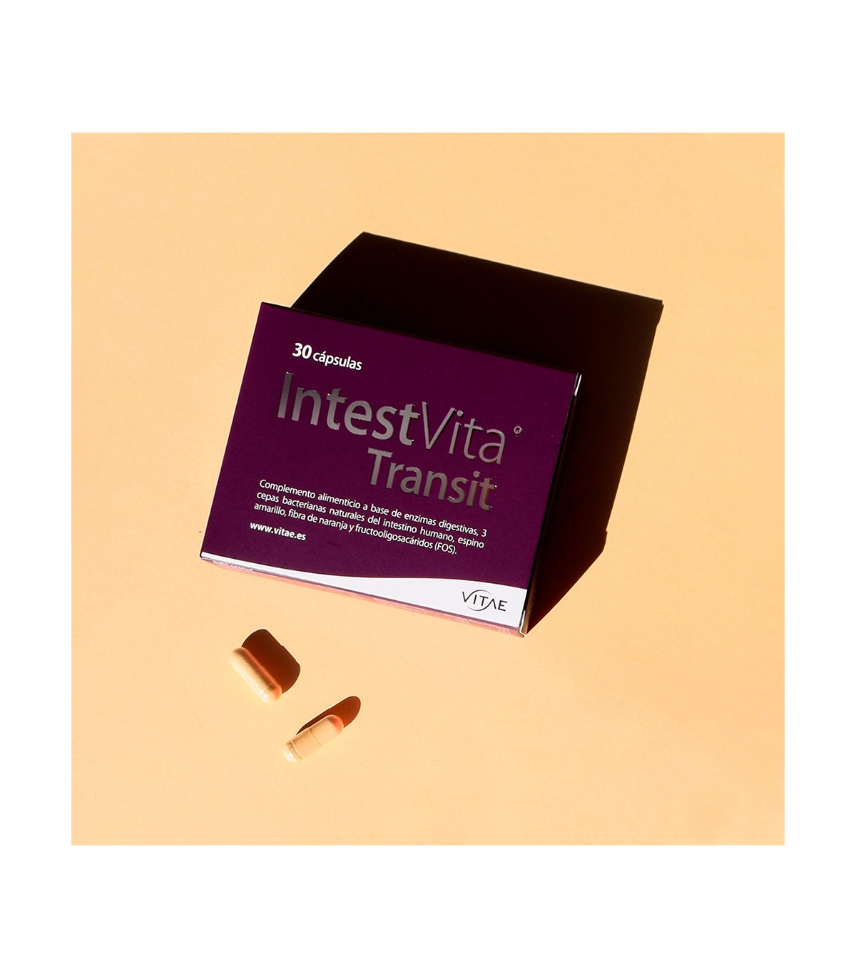 IntestVita Transit