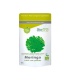 Moringa biotona