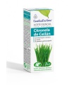 Aceite esencial CITRONELA DE CEILÁN BIO - 10ml