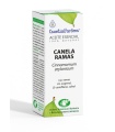 Aceite Esencial de Canela ramas - 10ML