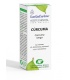 Aceite Esencial  de Cúrcuma - 10ML