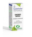 Aceite Esencial  de Enebro bayas - 5ML