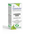 Aceite Esencial de Lavanda vera - 5ML