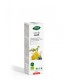 PhytoBiopôle - MIX 20 ALER BIO - 50ML
