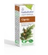 Aceite esencial CIPRÉS BIO - 10 ml