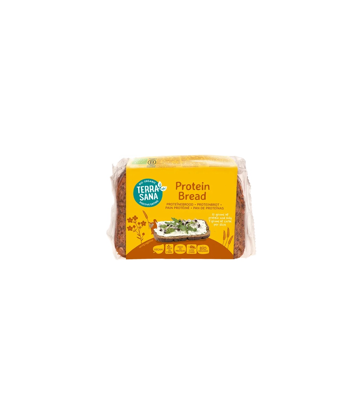TRIGO SARRACENO SIN GLUTEN