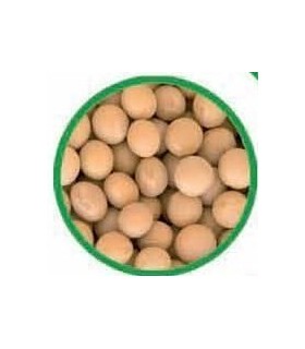 Soja amarilla