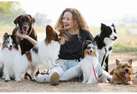 ¿Cómo proteger a tu perro de las pulgas y garrapatas?