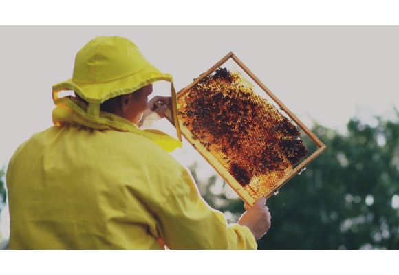 Jalea real para este otoño ¡Fortalece tus defensas!