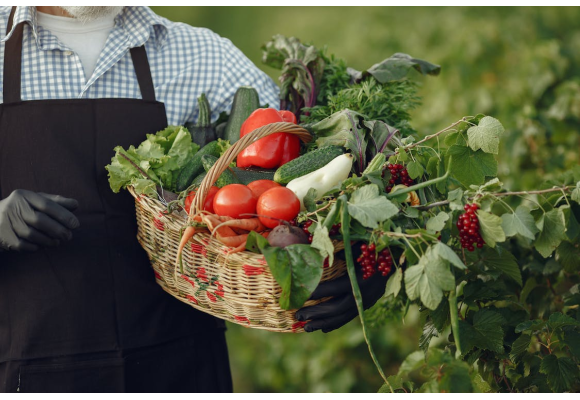 Alimentos ecológicos ¿Por qué añadirlos a la dieta?